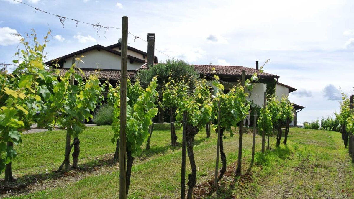 Das Weingut in Pradis bei Cormons, Italien - goodstuff AlpeAdria